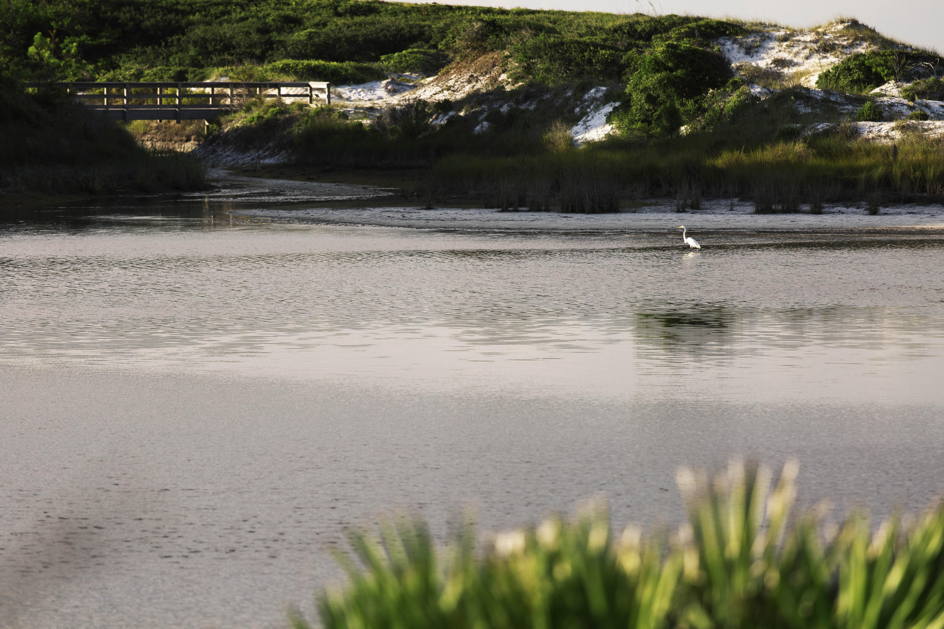 91 Old Beach Road Santa Rosa Beach, FL 32459 - Photo 25 of 25 a view of a lake view