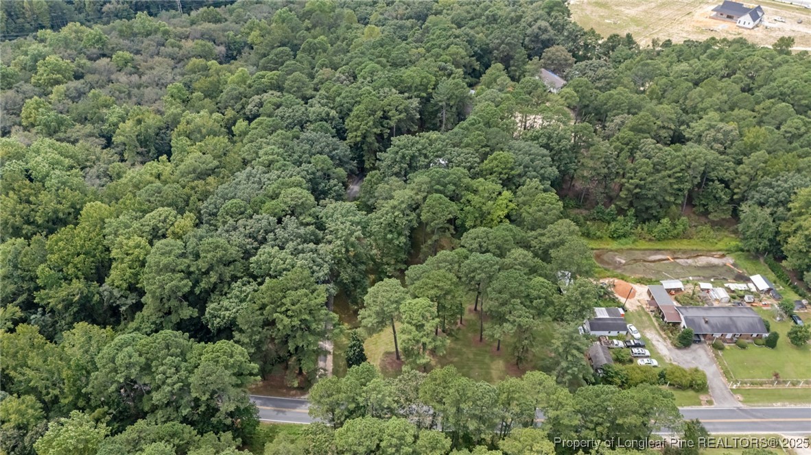 610 Maynard Lake Road Erwin, NC 28339 - Photo 7 of 49 an aerial view of a houses with yard