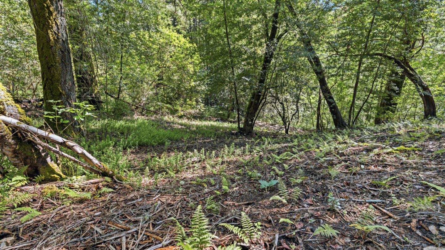 360 Rincon Way Boulder Creek, CA 95006 - Photo 17 of 46