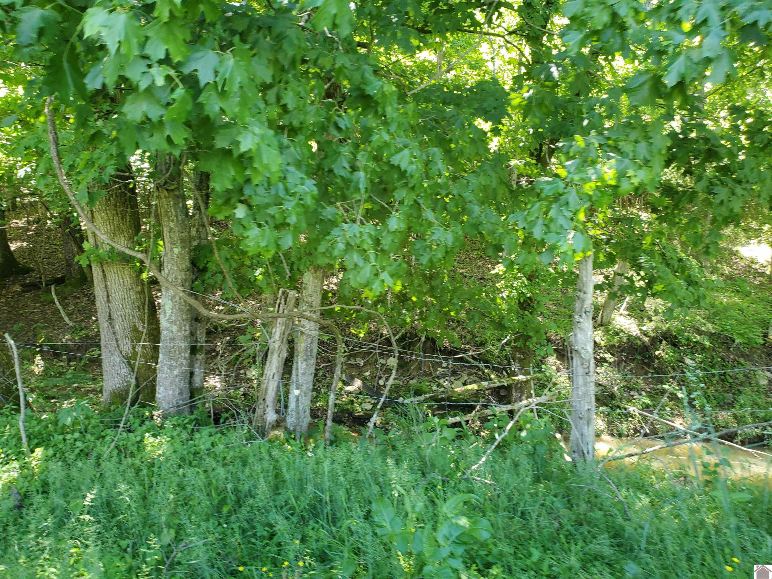 1445 Bethany Church Road Princeton, KY 42445 - Photo 2 of 5 Photo 2