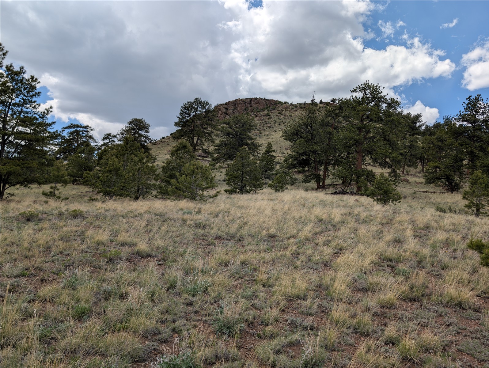 0 Black Beaver Road Hartsel, CO 80449 - Photo 17 of 28 Gallery Image 17