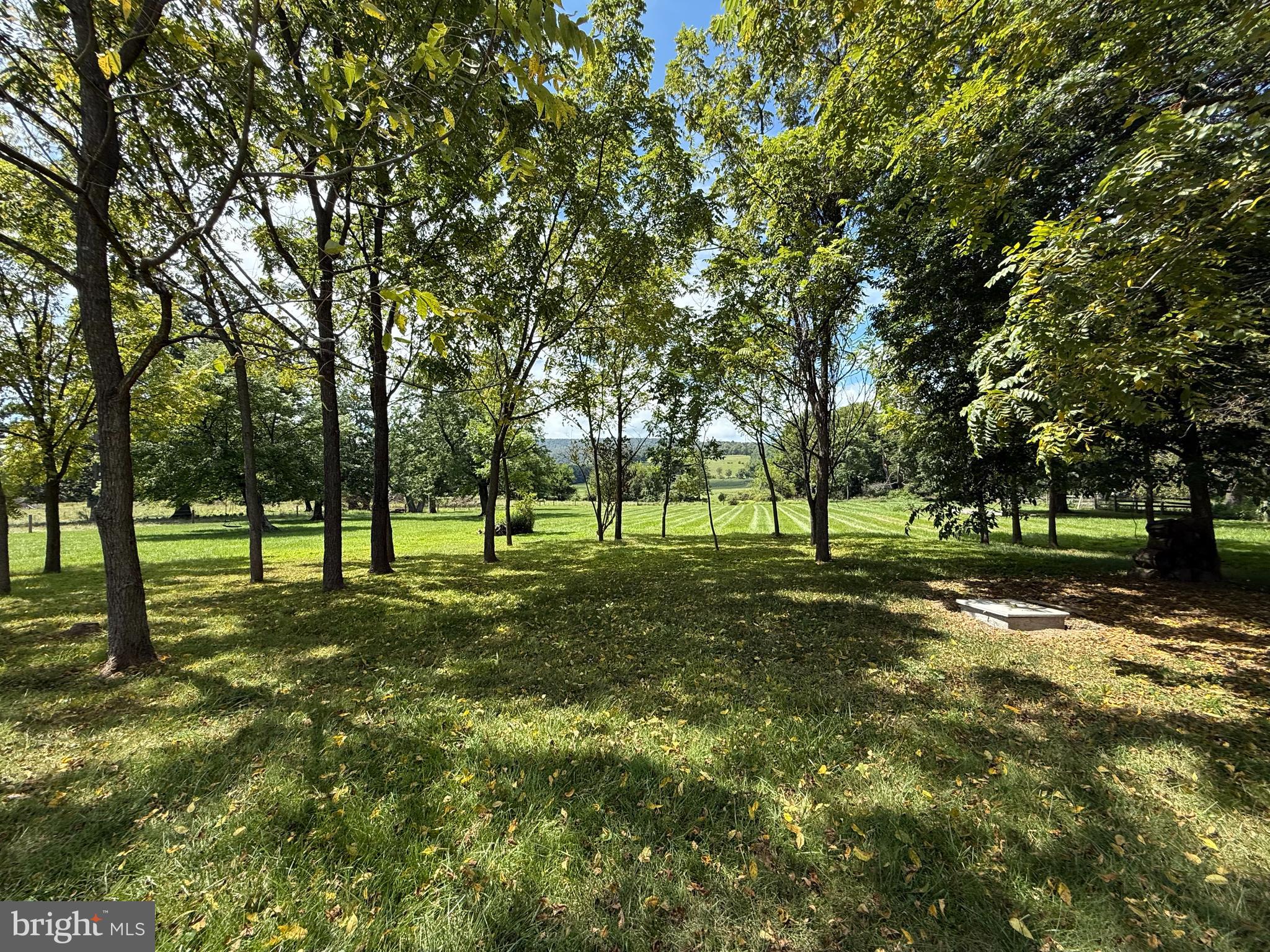 15543 Edgegrove Road Purcellville, VA 20132 - Photo 4 of 16 Side Exterior
