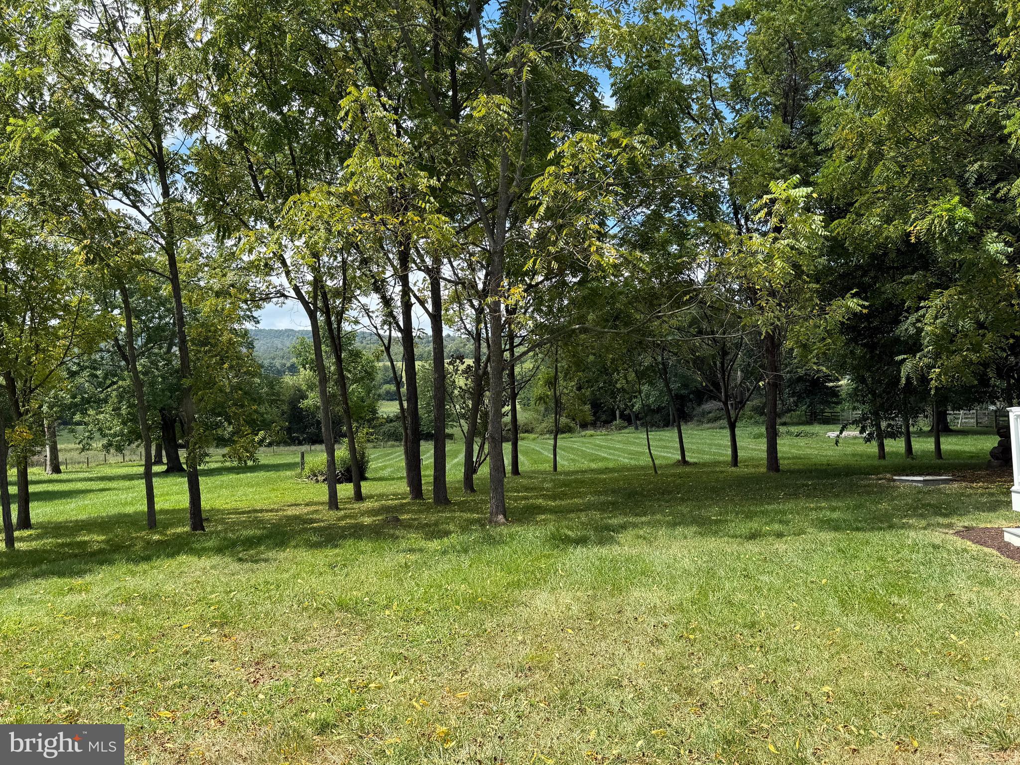 15543 Edgegrove Road Purcellville, VA 20132 - Photo 6 of 16 Rear Exterior