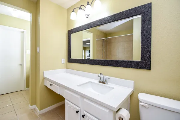 a bathroom with a sink vanity and a mirror