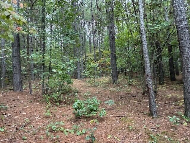 5 Fagin Road Madisonville, TN 37354 - Photo 19 of 33 Gallery Image 19