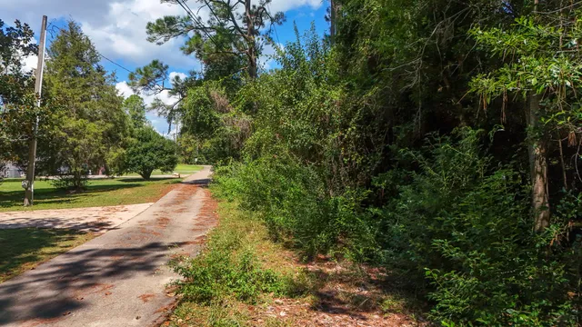a view of a yard with a tree