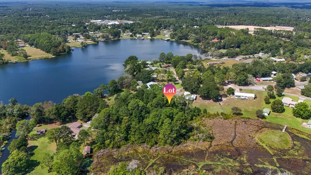 an aerial view of city lake and trees all around