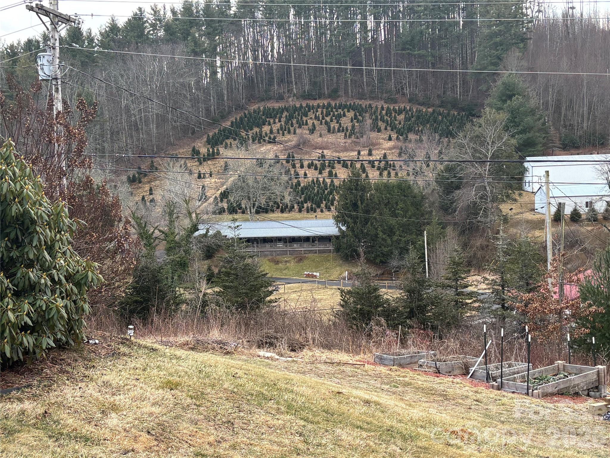 190 Benfield Road Crossnore, NC 28657 - Photo 28 of 36 a view of swimming pool with a yard and lake view