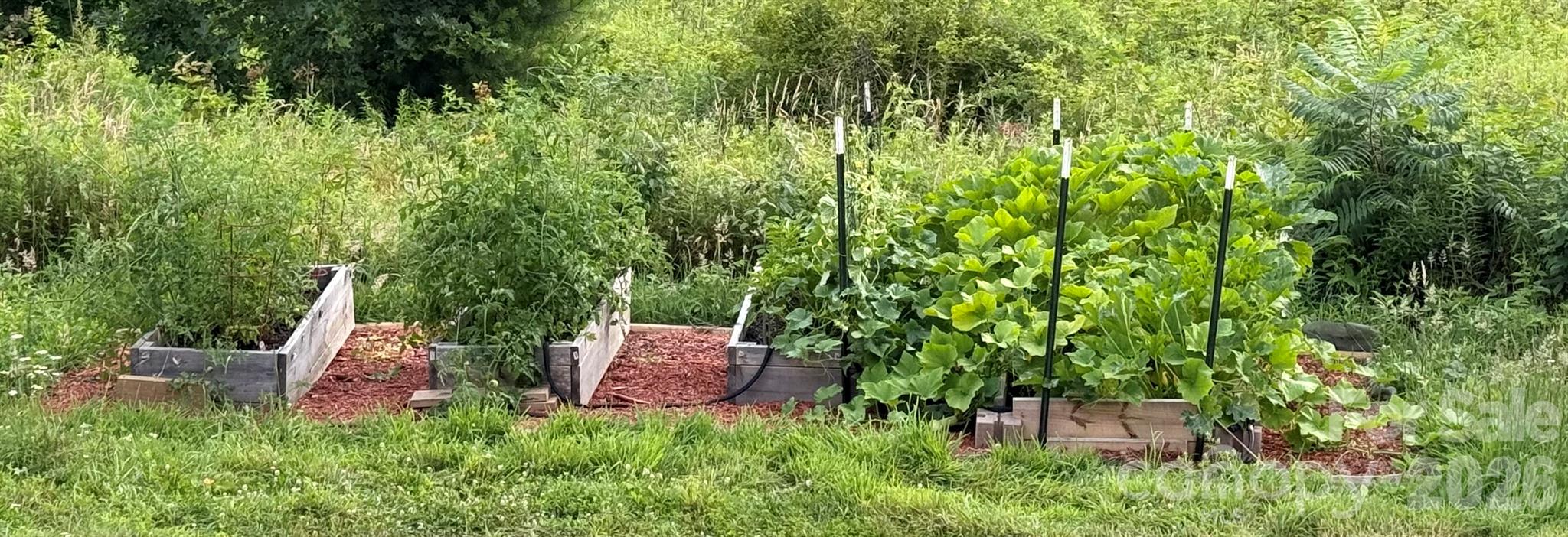 190 Benfield Road Crossnore, NC 28657 - Photo 29 of 36