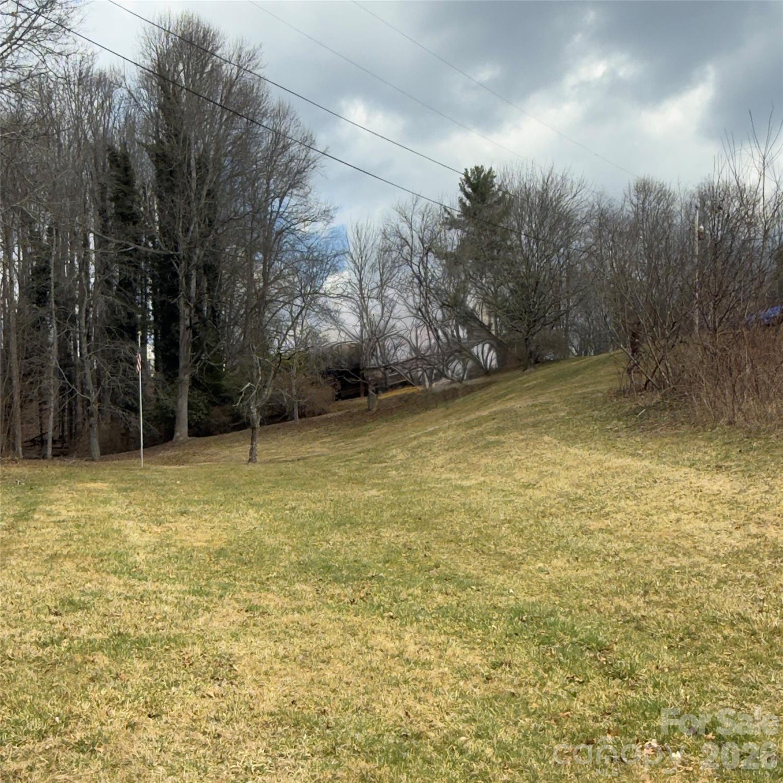 190 Benfield Road Crossnore, NC 28657 - Photo 33 of 36 a view of a yard with an trees