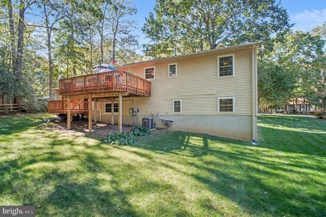 a view of a park with large trees