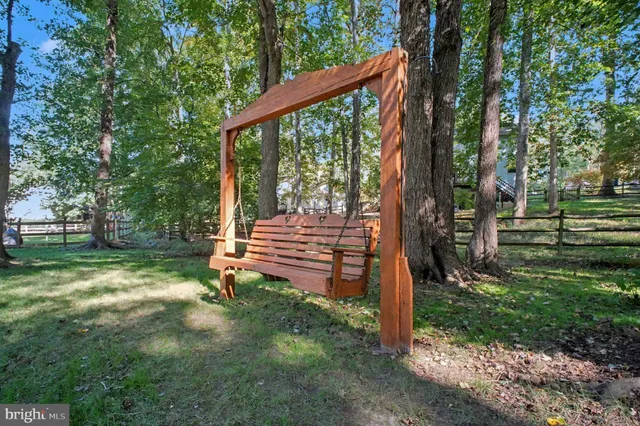 a view of a forest with trees