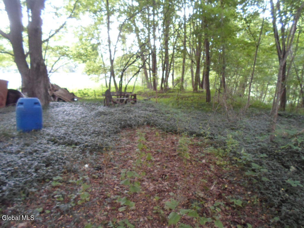 1 Crawford Road Rotterdam, NY 12306 - Photo 10 of 12 SAM_0199