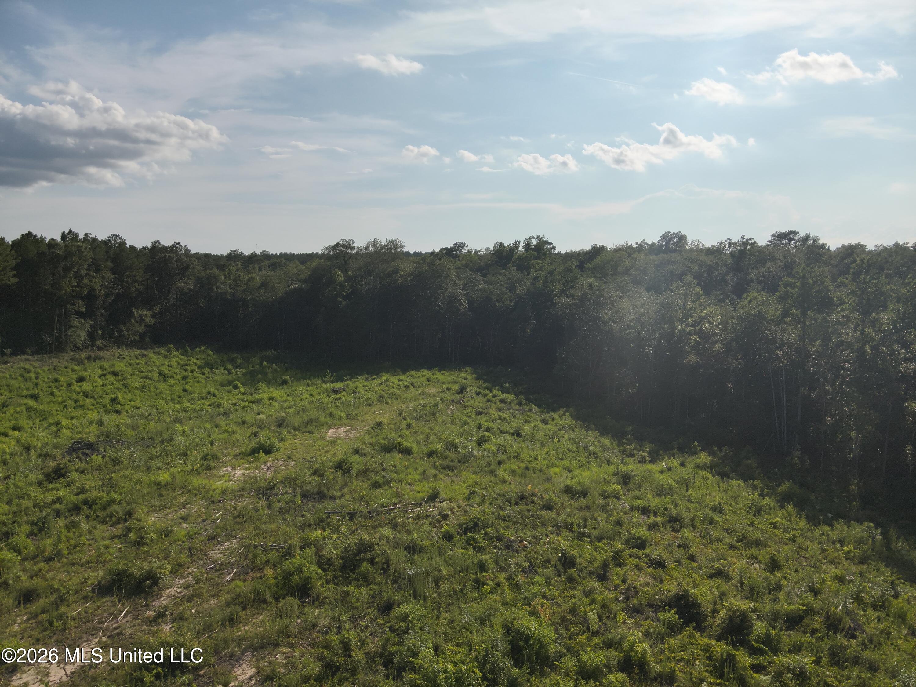 Oscar Bell Road Waynesboro, MS 39367 - Photo 12 of 23 DJI_20260710173855_0025_V