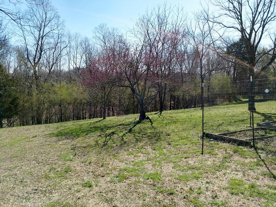 1015 Oak Grove Road Goodspring, TN 38460 - Photo 14 of 30 a view of a park