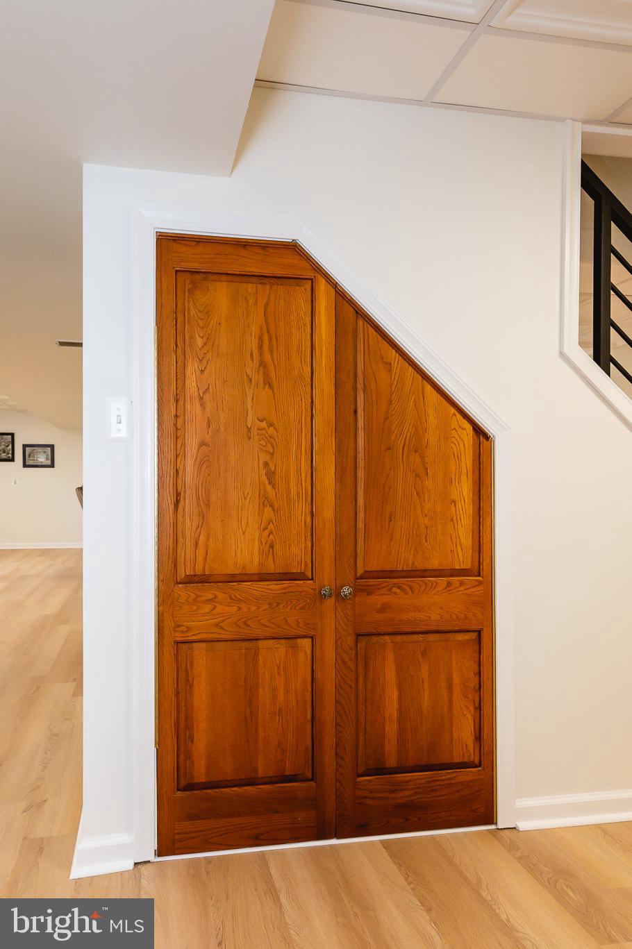 1689 Campbell Road Forest Hill, MD 21050 - Photo 70 of 114 Lower Level-Storage Under the Stairs
