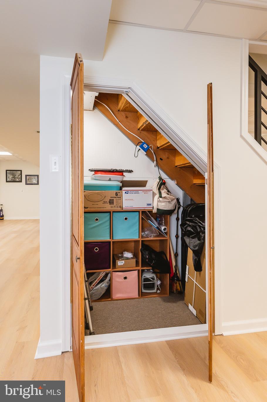 1689 Campbell Road Forest Hill, MD 21050 - Photo 71 of 114 Lower Level-Storage Under the Stairs
