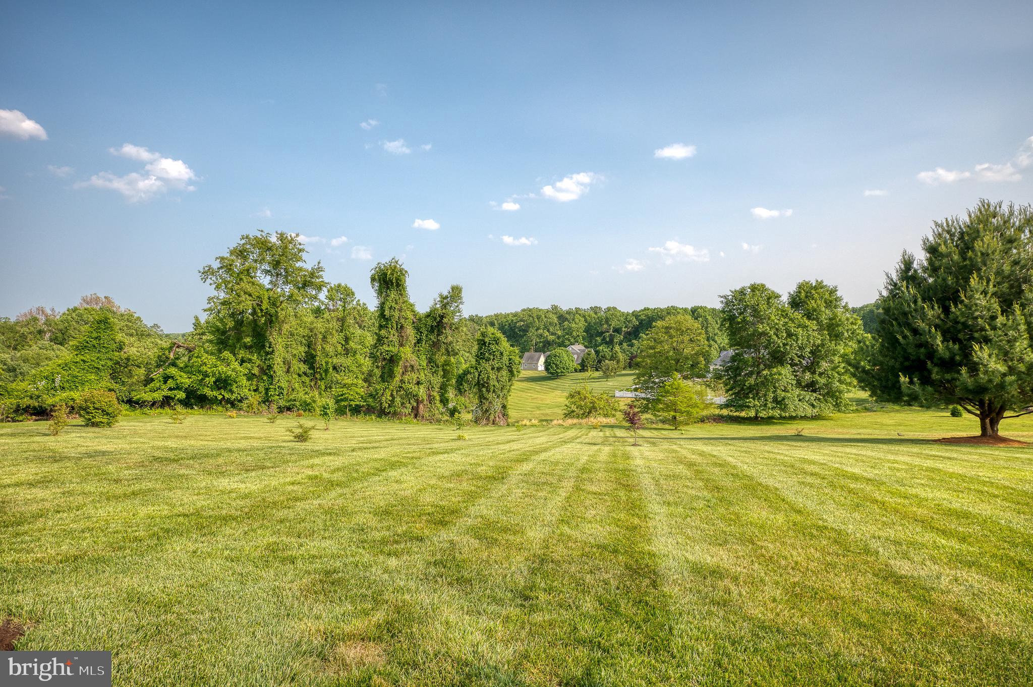 1689 Campbell Road Forest Hill, MD 21050 - Photo 92 of 114 Stunning View of the Backyard