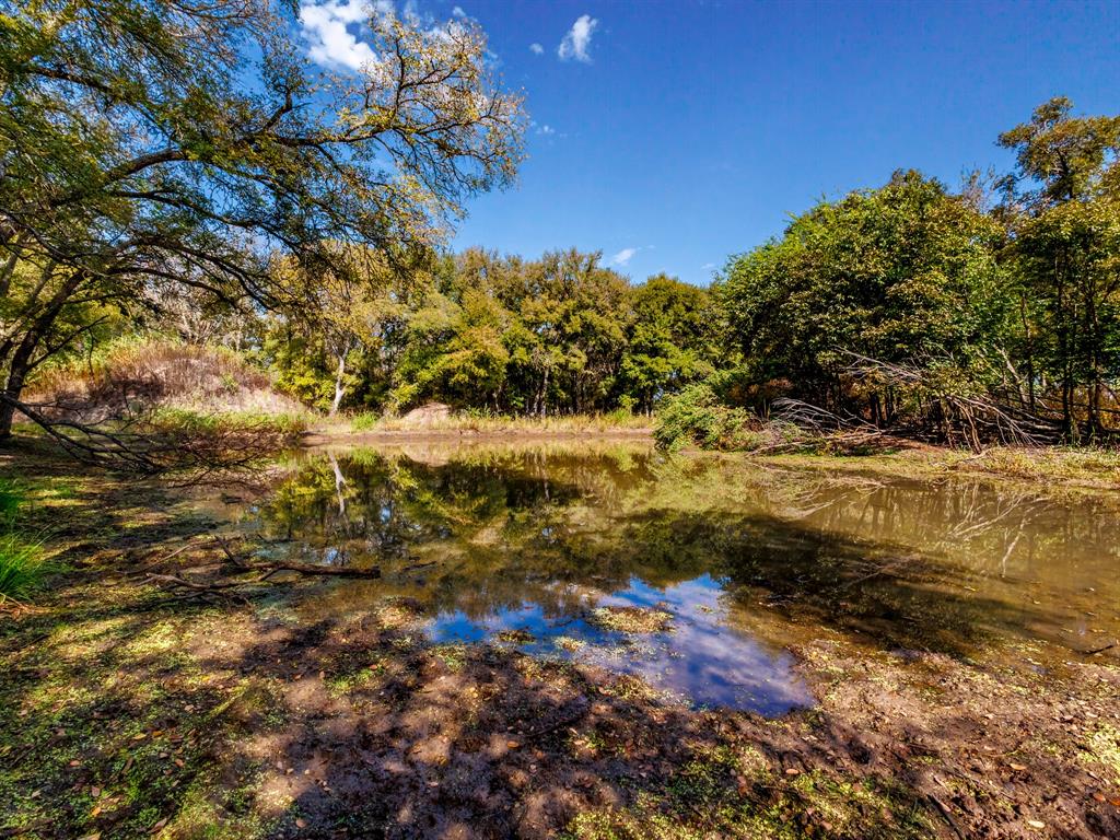 217 County Road 468 Dublin, TX 76446 - Photo 12 of 23 a view of a yard with a tree