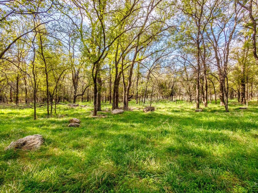 217 County Road 468 Dublin, TX 76446 - Photo 3 of 23 a view of yard with trees
