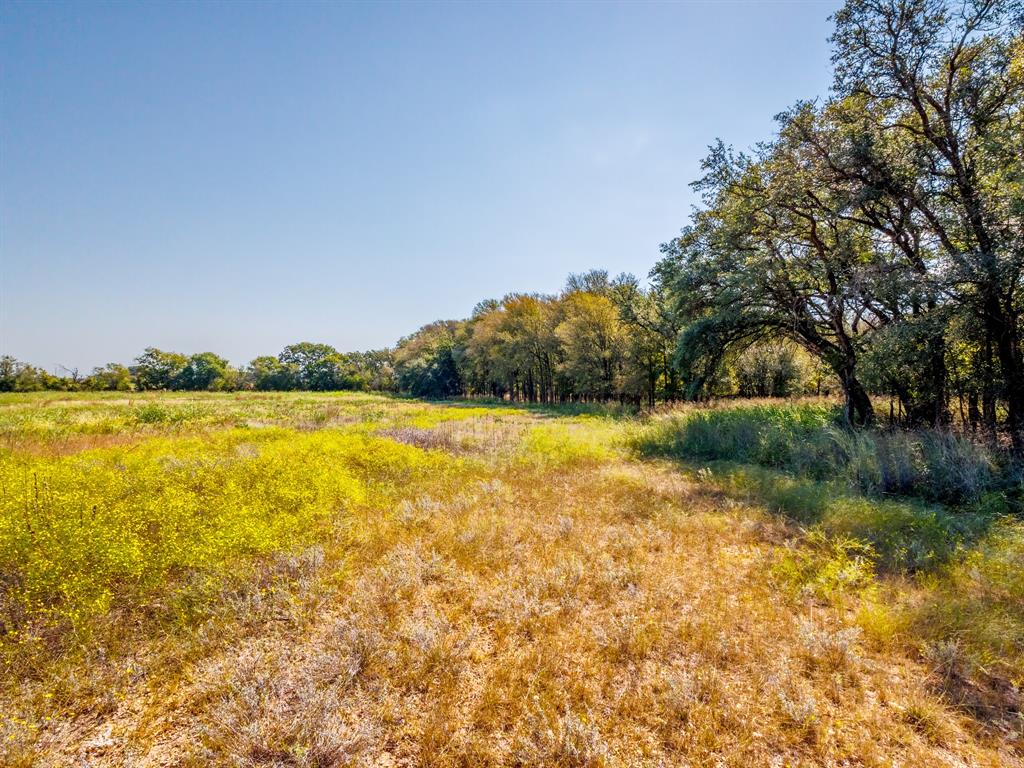 217 County Road 468 Dublin, TX 76446 - Photo 5 of 23 a view of a lake with houses in the back