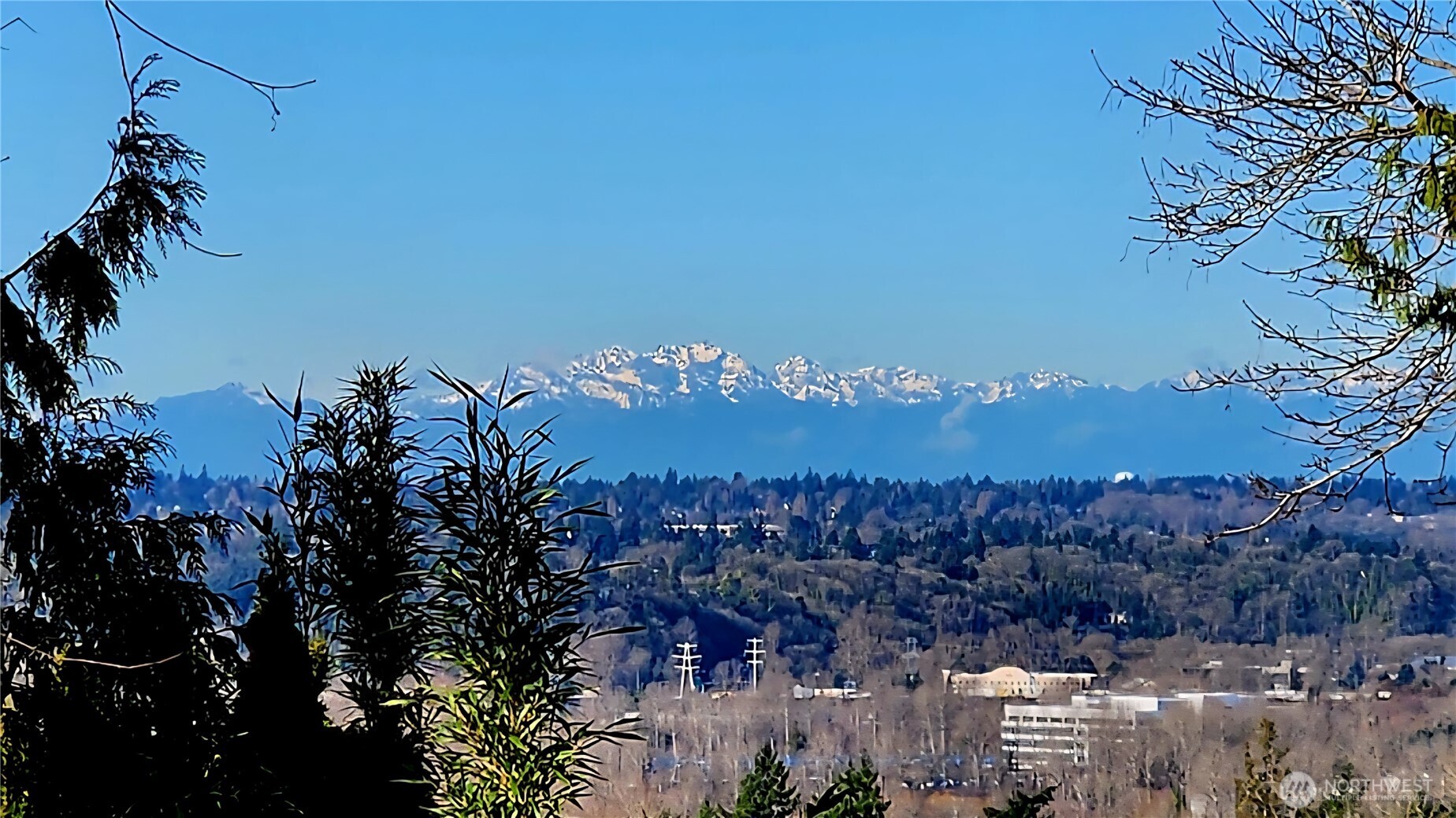 1226 South 35th Street Renton, WA 98055 - Photo 31 of 40 Gallery Image 31