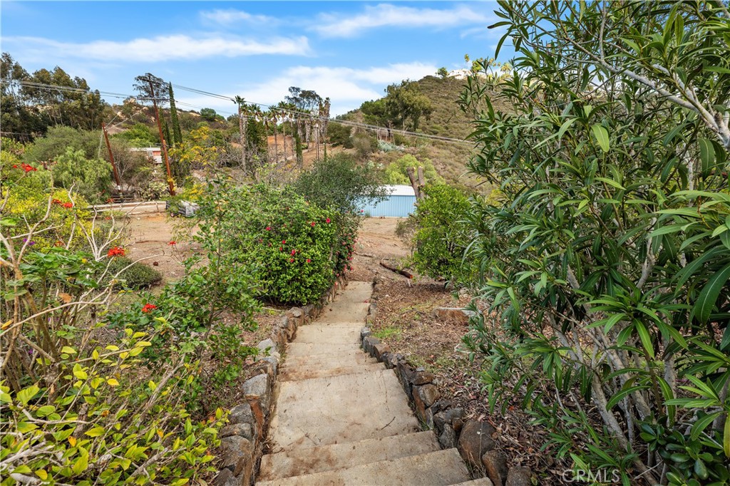10526 Rainbrook Drive Fallbrook, CA 92028 - Photo 47 of 63 a view of a yard with plants and large trees