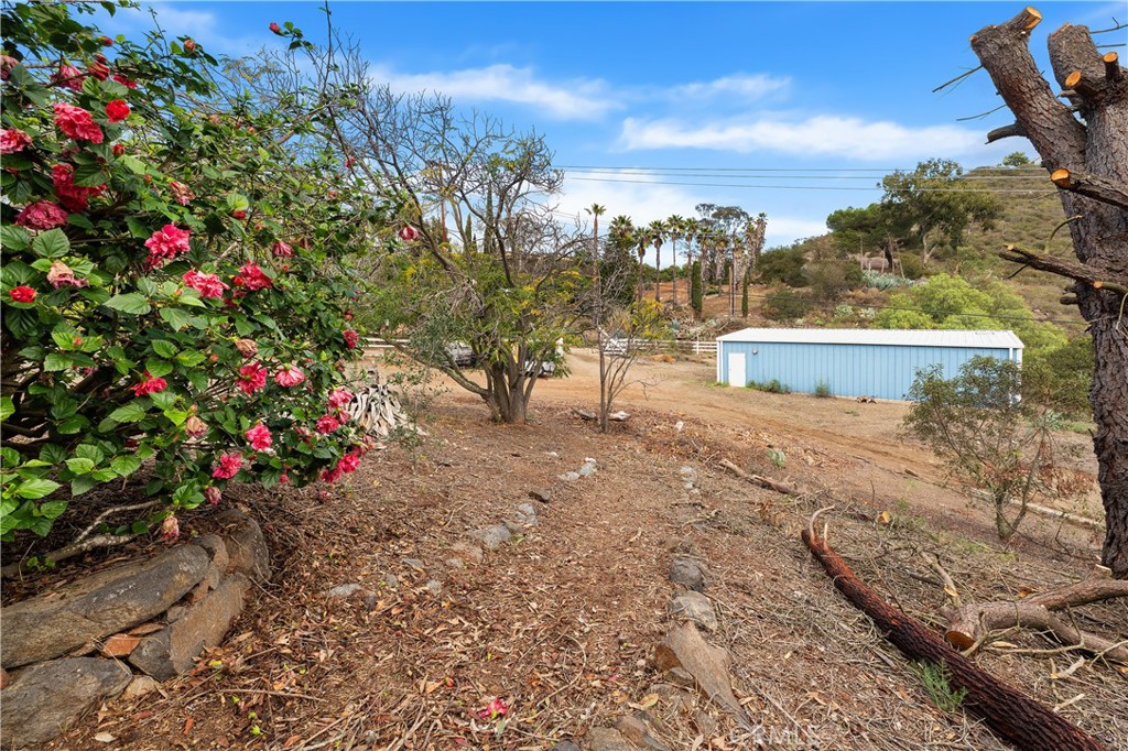 10526 Rainbrook Drive Fallbrook, CA 92028 - Photo 48 of 63 a view of a yard with table and chairs and wooden fence