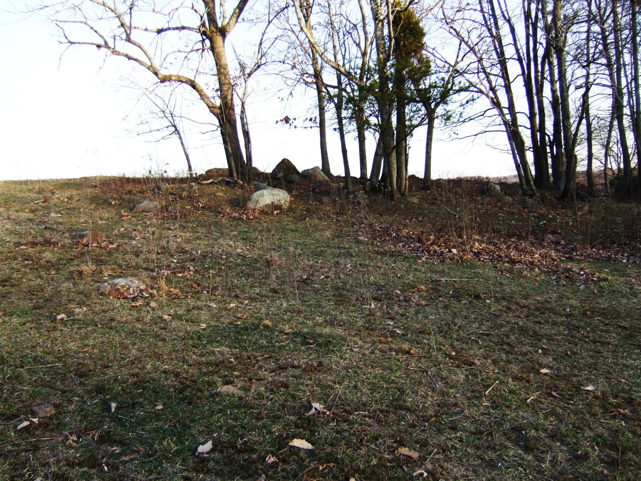 tree line