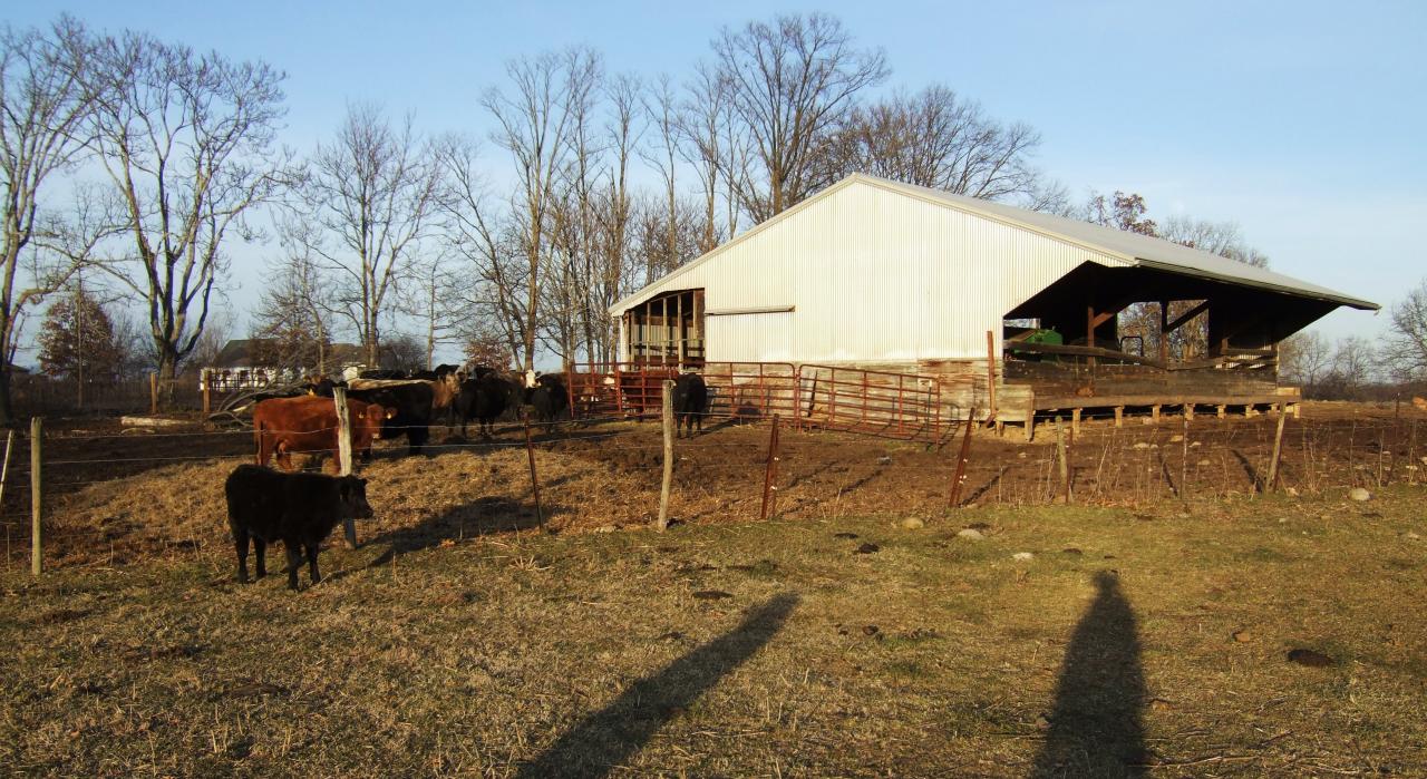 barn