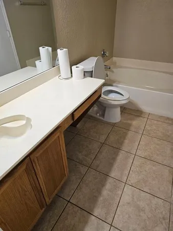a bathroom with a sink and a toilet