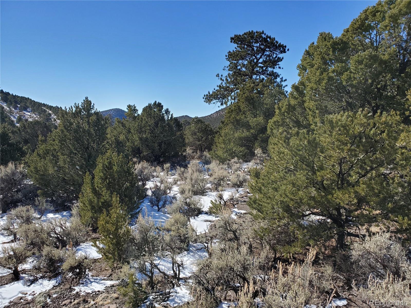4590 Laidlaw Road Fort Garland, CO 81133 - Photo 1 of 14 Gallery Image 1