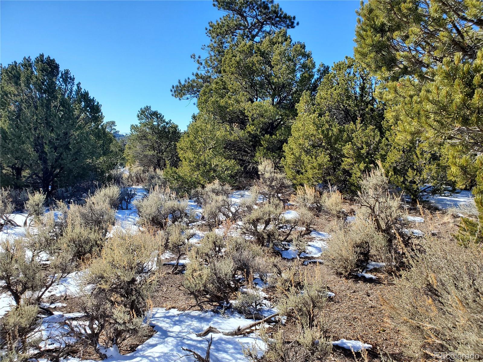 4590 Laidlaw Road Fort Garland, CO 81133 - Photo 11 of 14 Gallery Image 11