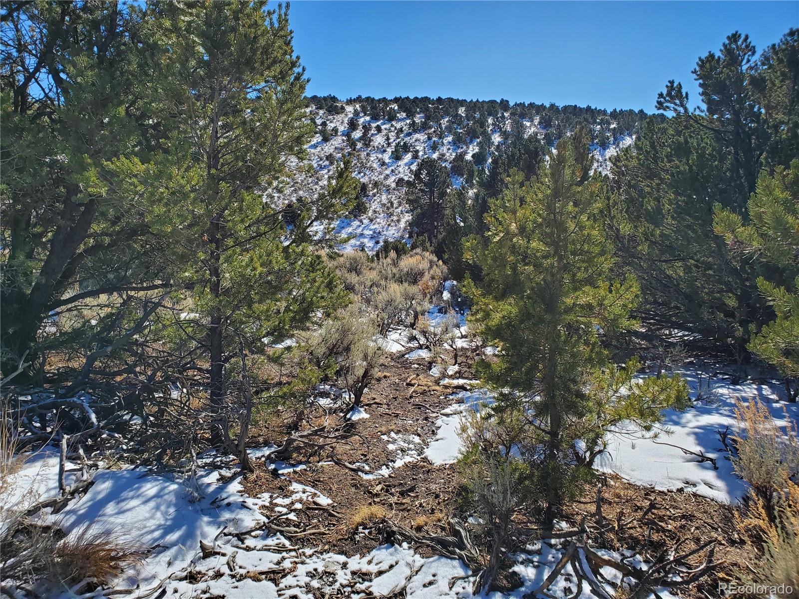 4590 Laidlaw Road Fort Garland, CO 81133 - Photo 5 of 14 Gallery Image 5