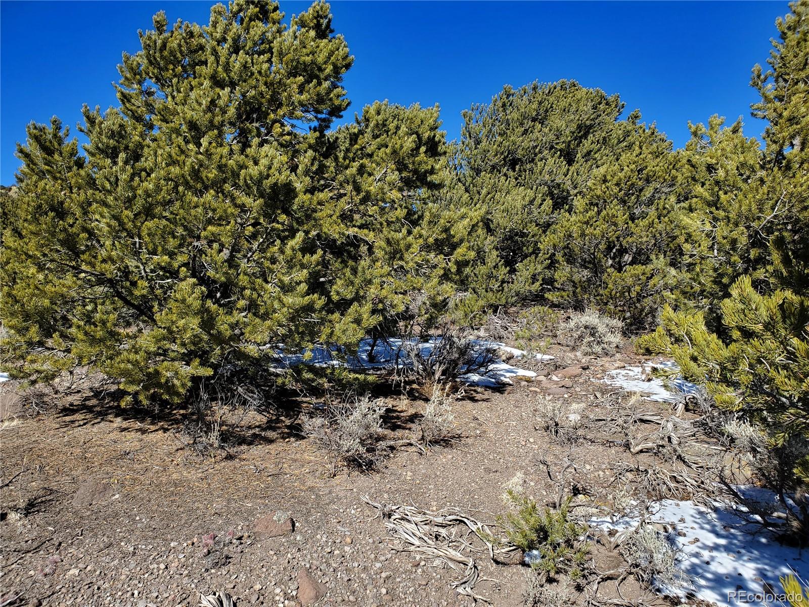 4590 Laidlaw Road Fort Garland, CO 81133 - Photo 8 of 14 Gallery Image 8