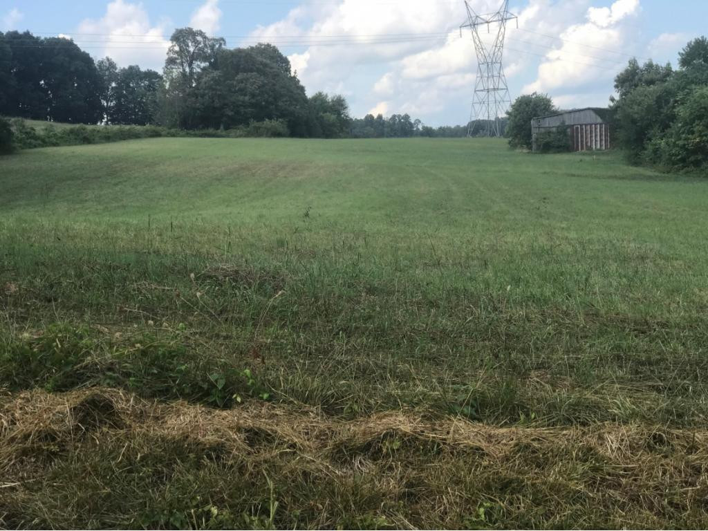 Tbd Logan Chapel Road Jonesborough, TN 37659 - Photo 1 of 5 Photo 1