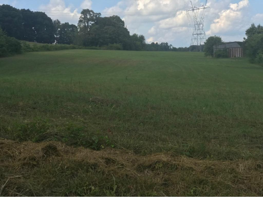 Tbd Logan Chapel Road Jonesborough, TN 37659 - Photo 2 of 5 Photo 2