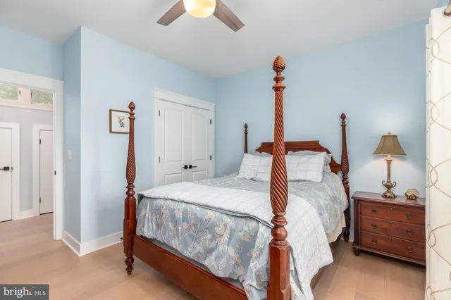 a view of a park with large trees and a small yard