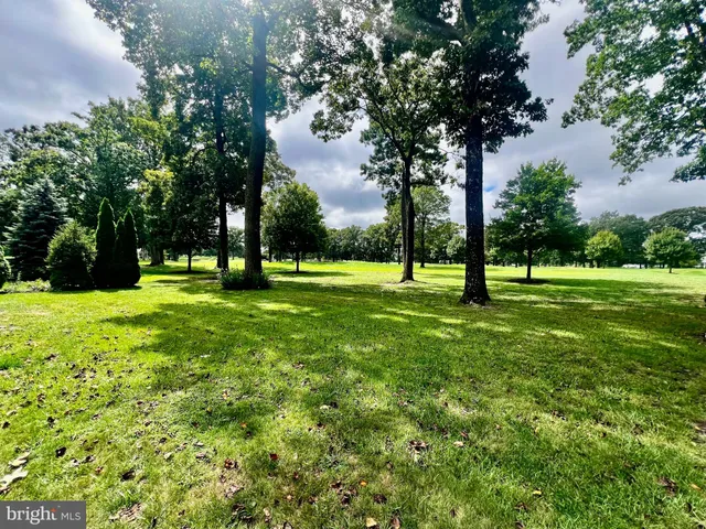 a view of park with trees