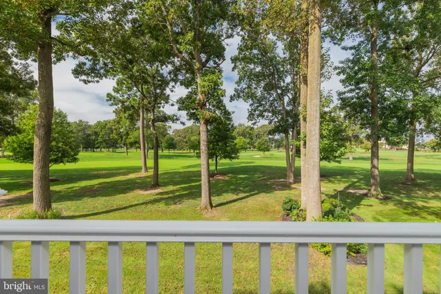 a view of a garden with a lake