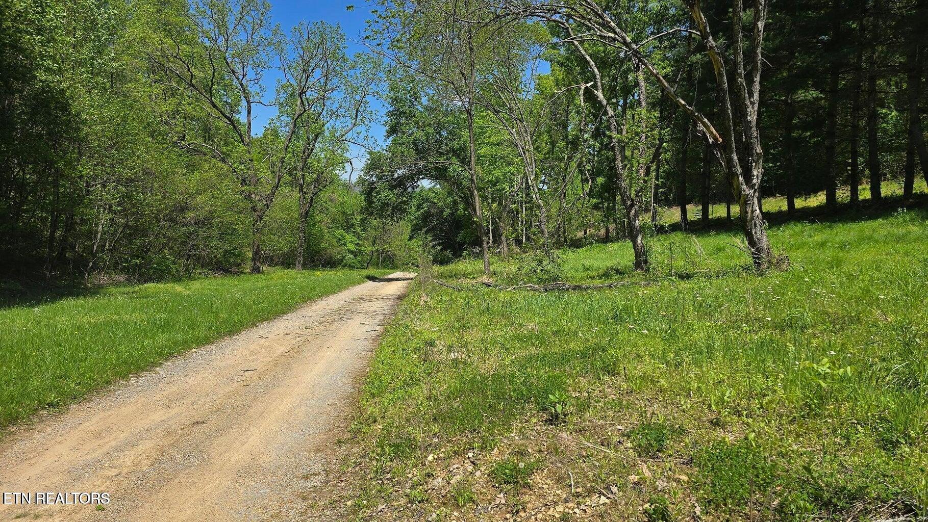 3 Dooley Hollow Road Ewing, VA 24248 - Photo 3 of 9 Dooley Photo 3
