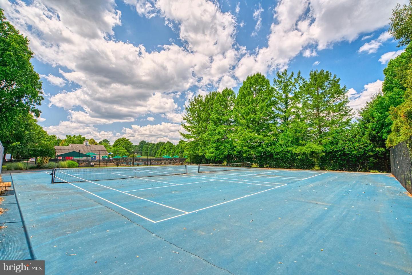 11081 Pelham Manor Place Reston, VA 20194 - Photo 62 of 99 Sunny tennis court amidst lush greenery.