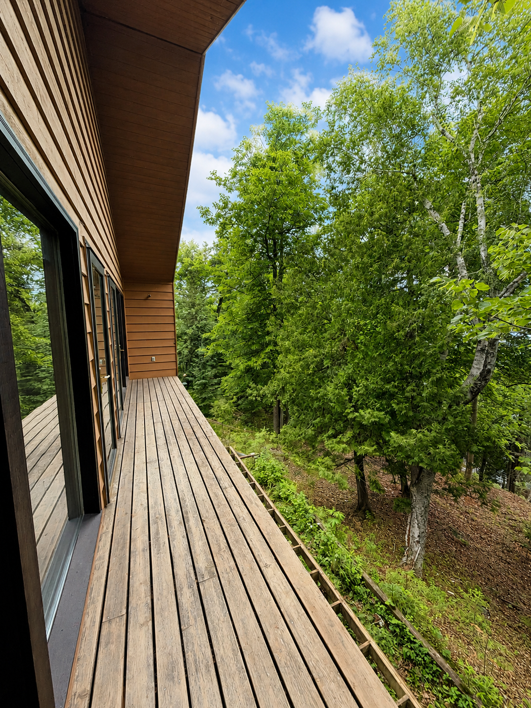 50573 Evergreen Point Road Bigfork, MN 56628 - Photo 22 of 47