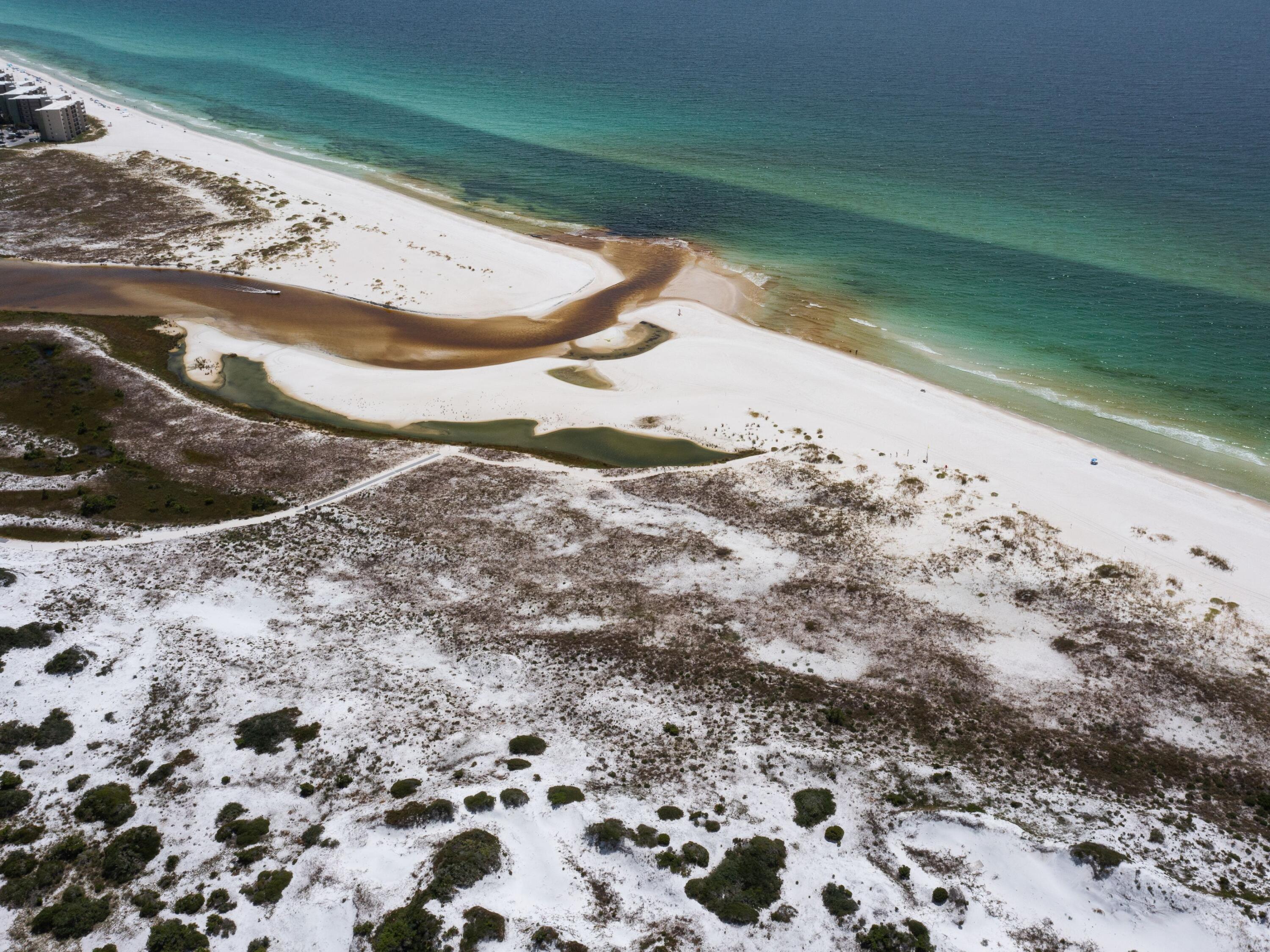 Lot 11 West Lupin Beach Inlet Beach Inlet Beach, FL 32461 - Photo 12 of 12 photo_online_010