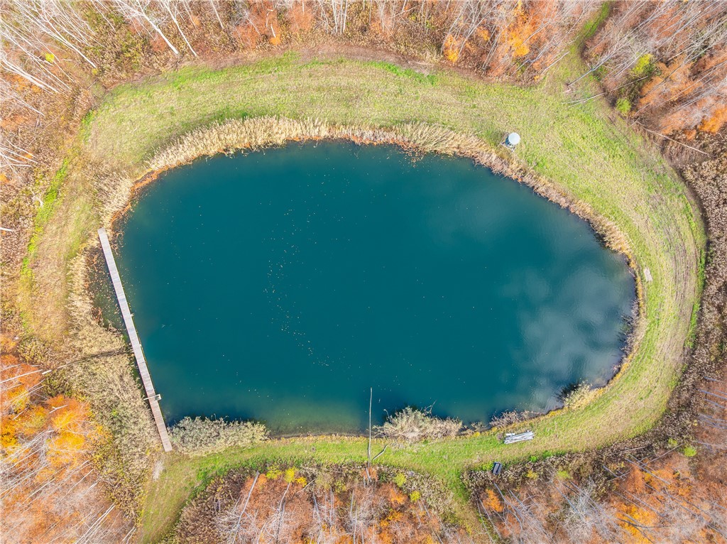 11596 Purdy Road Hume, NY 14735 - Photo 50 of 50 2nd Pond