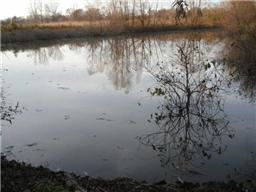 2348 Kinneys Road Cedar Hill, TN 37032 - Photo 2 of 5 a view of a lake