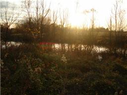 2348 Kinneys Road Cedar Hill, TN 37032 - Photo 5 of 5 a view of lake from yard