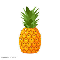 480 Scanlon Road Palm Bay, FL 32908 - Photo 7 of 7 Pineapple Logo