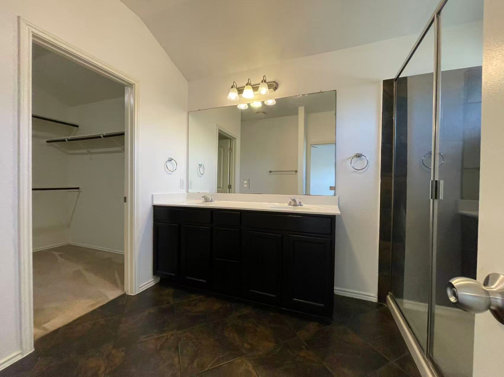 457 Dragon Ridge Road Buda, TX 78610 - Photo 16 of 29 Bathroom with double vanity, a stall shower, a walk in closet, and lofted ceiling