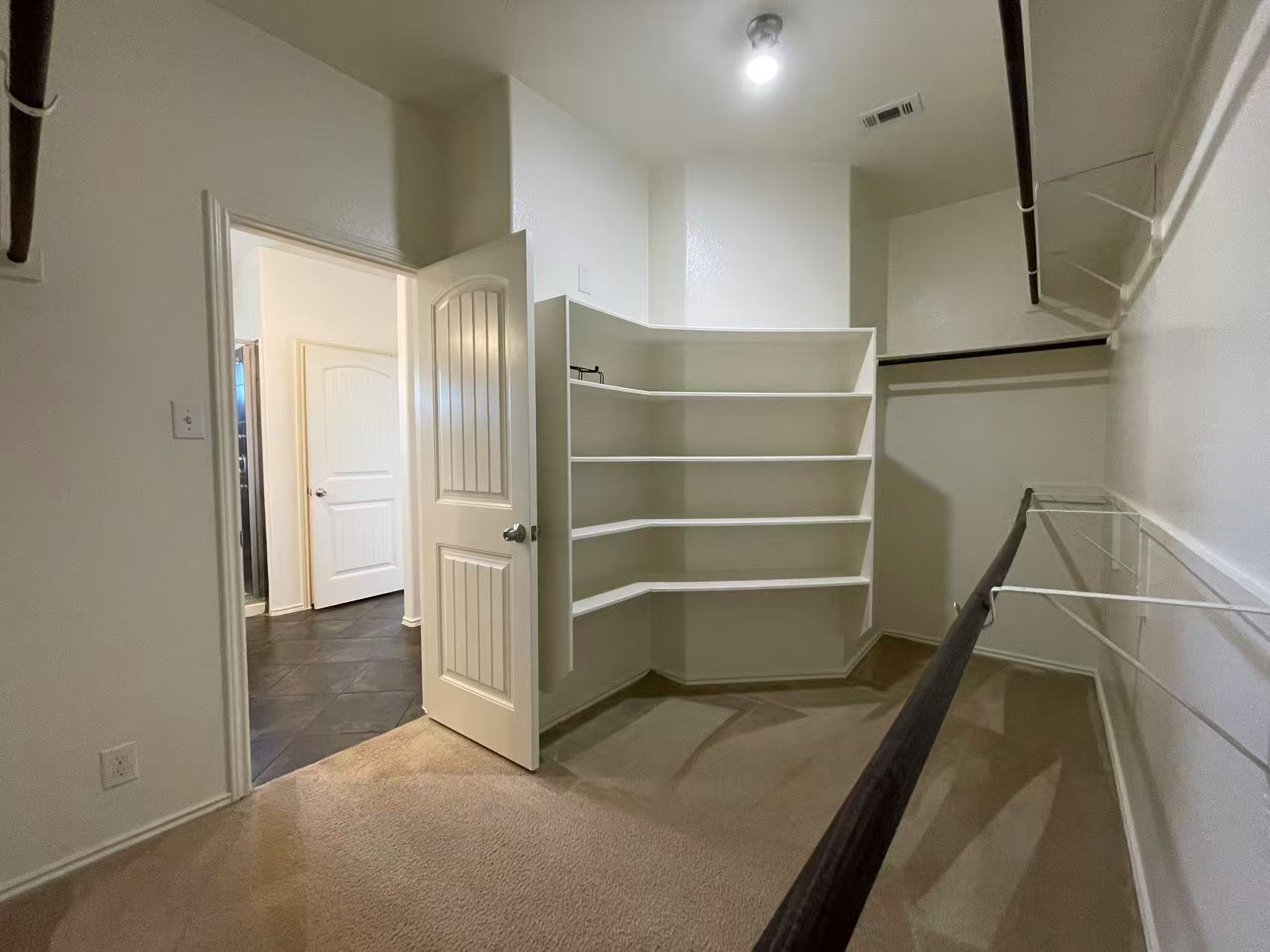 457 Dragon Ridge Road Buda, TX 78610 - Photo 17 of 29 Walk in closet with light carpet